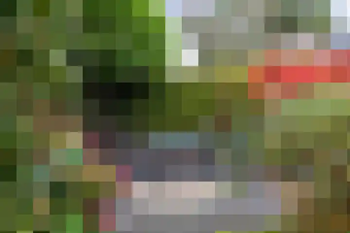 Voorhorsterbrink 3 Diepenveen thumbnail 29