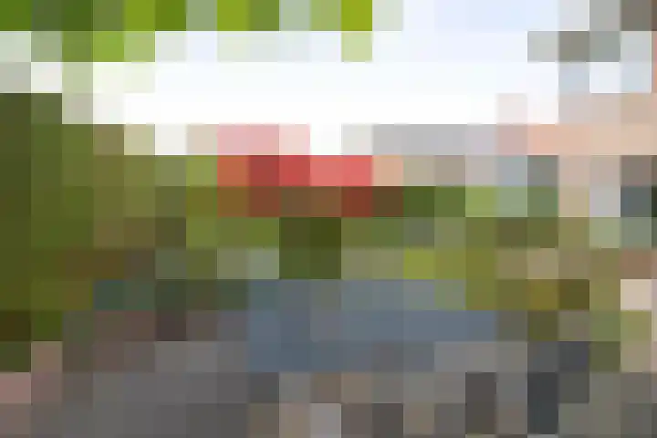 Voorhorsterbrink 3 Diepenveen thumbnail 30