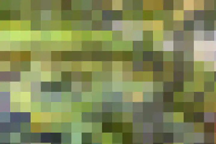 Voorhorsterbrink 3 Diepenveen thumbnail 31