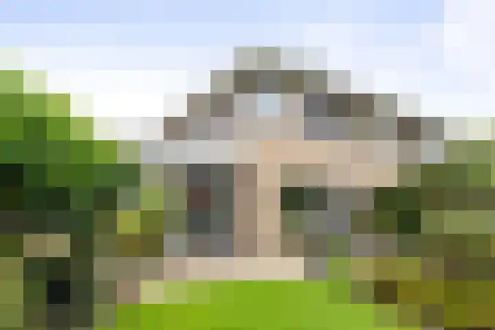 Voorhorsterbrink 3 Diepenveen thumbnail 33