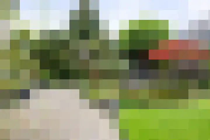 Voorhorsterbrink 3 Diepenveen thumbnail 34