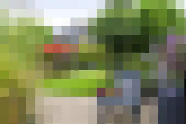 Voorhorsterbrink 3 Diepenveen thumbnail 36