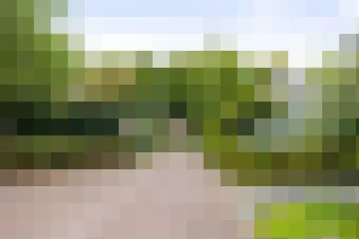 Voorhorsterbrink 3 Diepenveen thumbnail 40