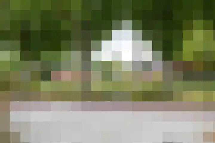 Voorhorsterbrink 3 Diepenveen thumbnail 42