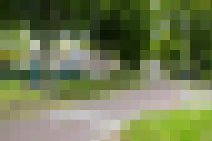 Voorhorsterbrink 3 Diepenveen thumbnail 43