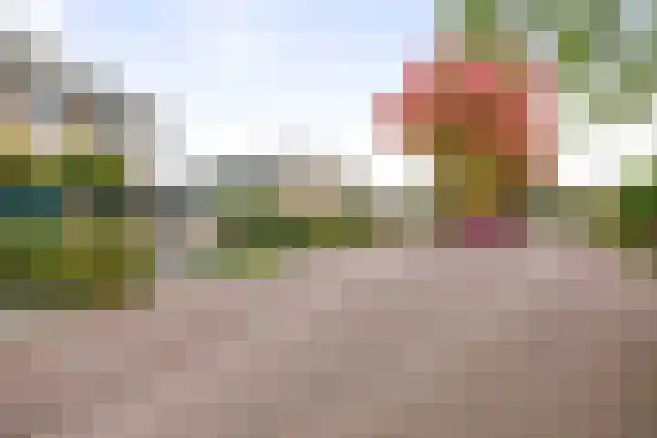 Voorhorsterbrink 3 Diepenveen thumbnail 44
