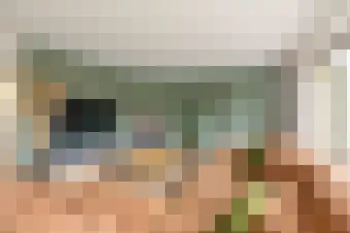Voorhorsterbrink 3 Diepenveen thumbnail 5