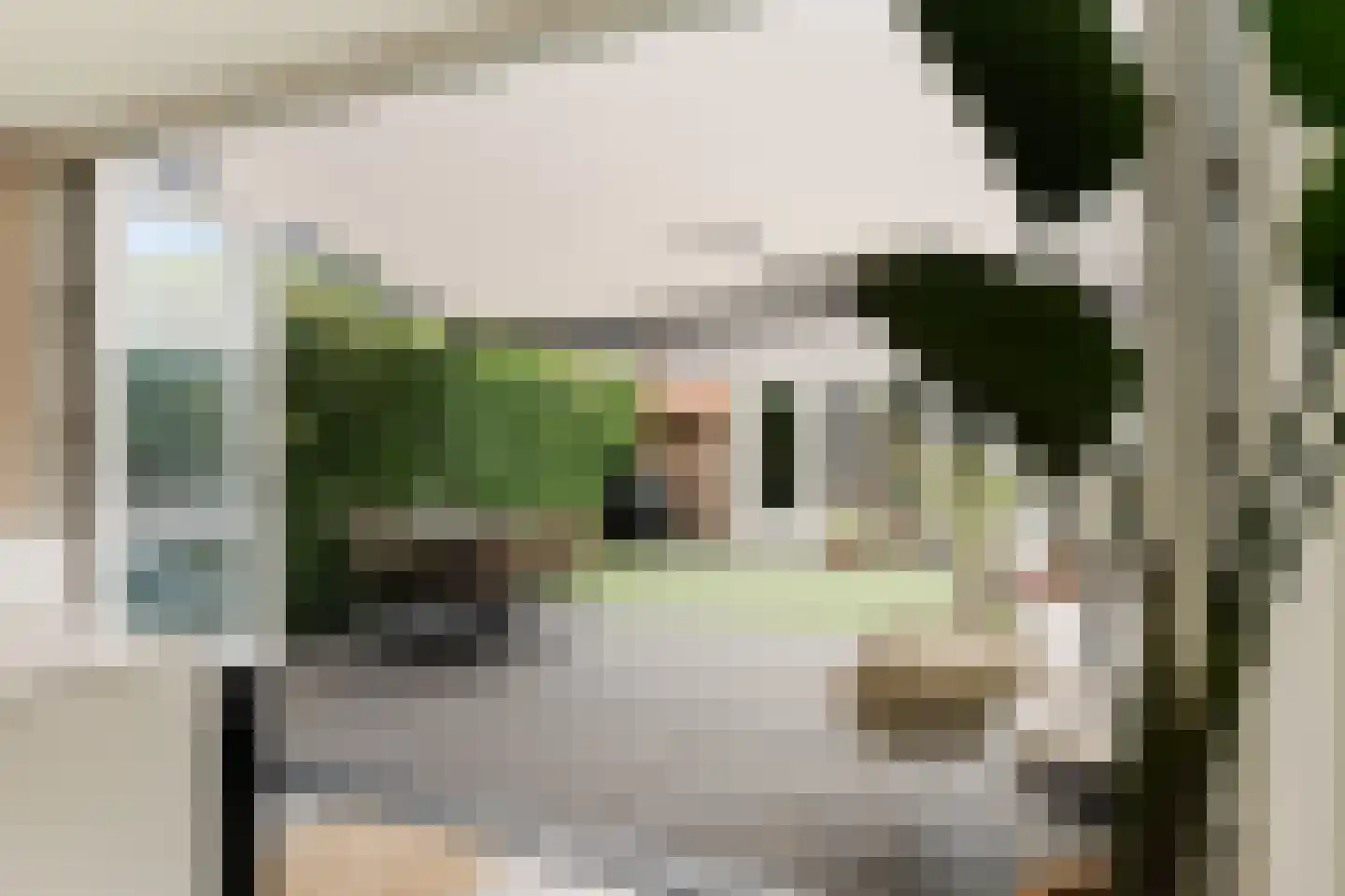 Voorhout 123 Rotterdam thumbnail 18