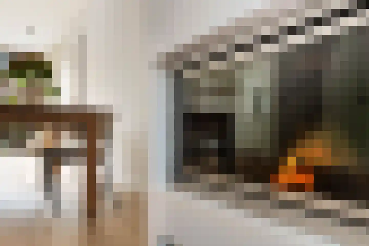Voorhout 123 Rotterdam thumbnail 20