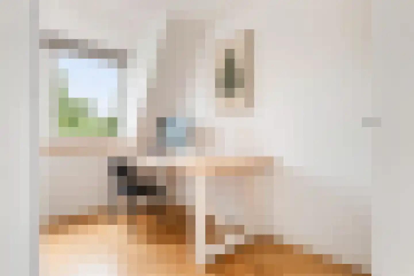 Voorhout 123 Rotterdam thumbnail 42