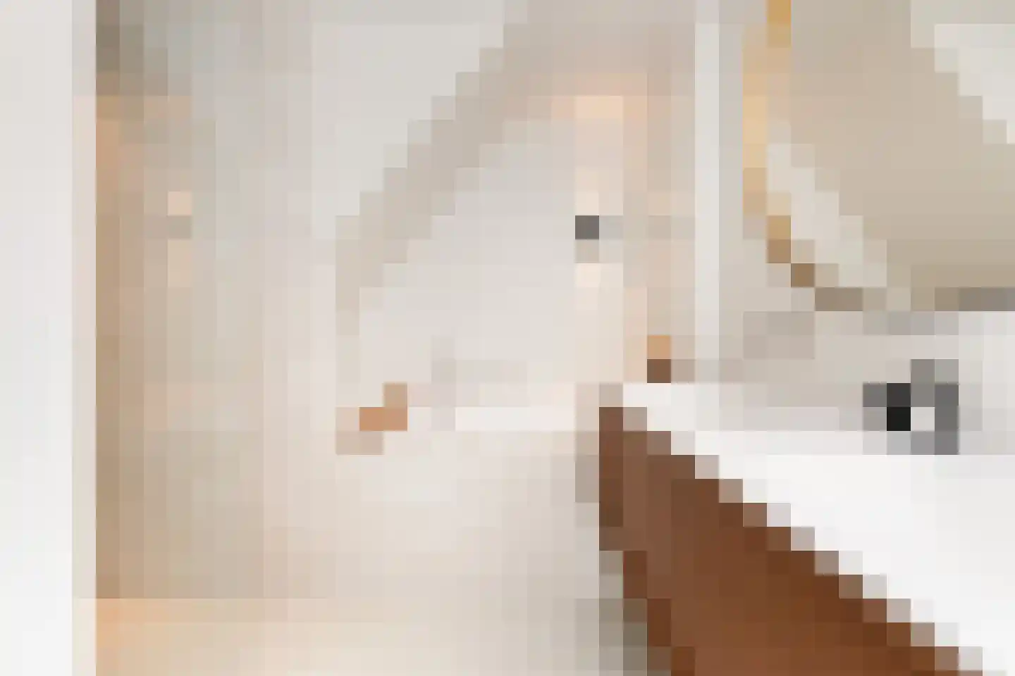Voorhout 123 Rotterdam thumbnail 45