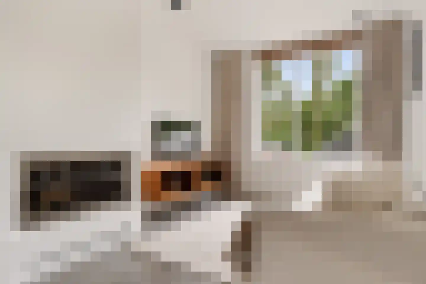 Voorhout 123 Rotterdam thumbnail 5