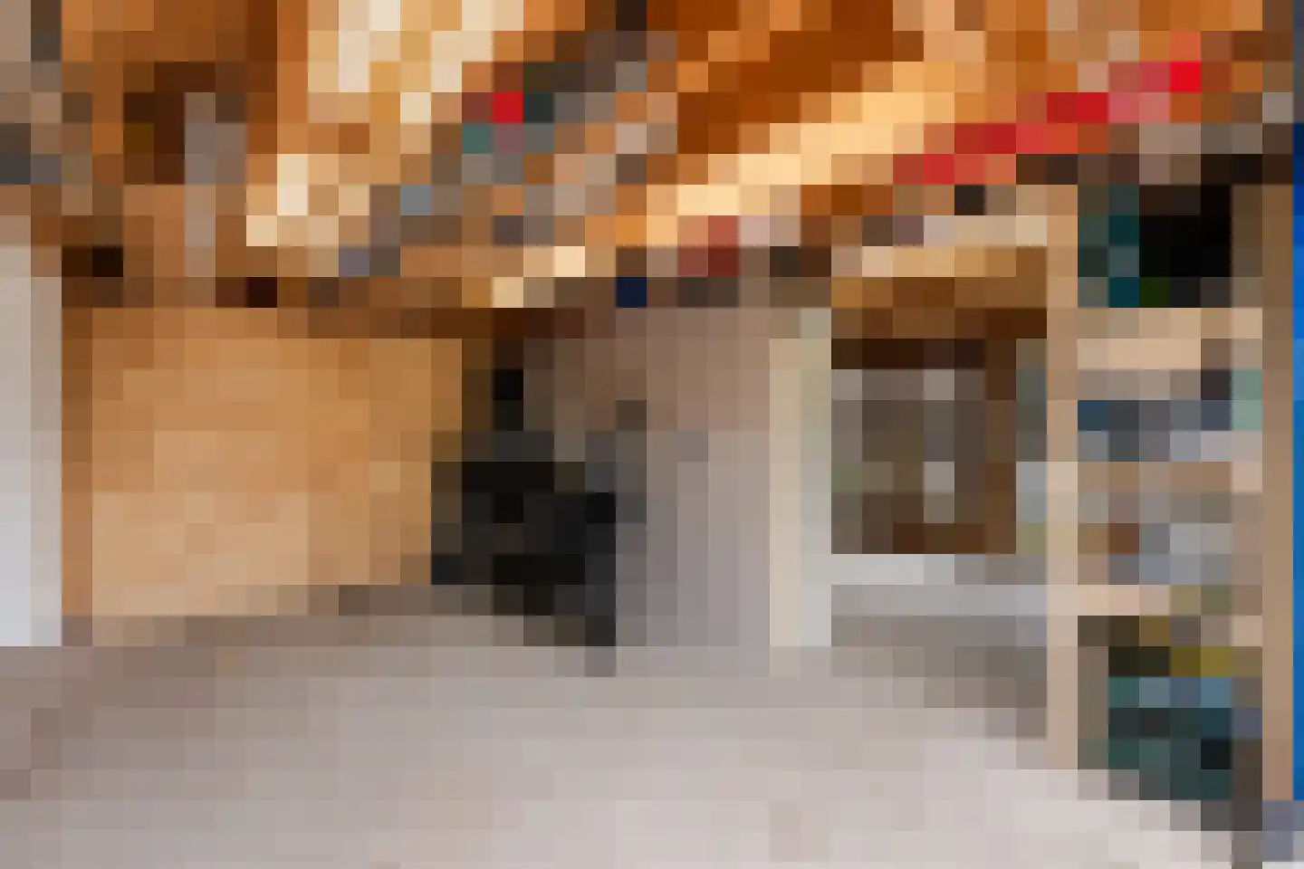 Voorhout 123 Rotterdam thumbnail 53