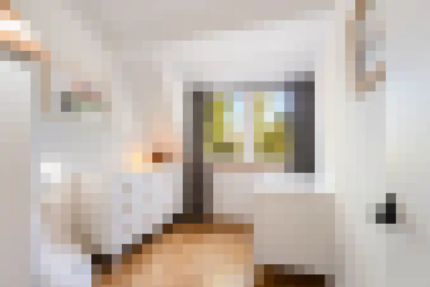 Voorhout 123 Rotterdam thumbnail 53