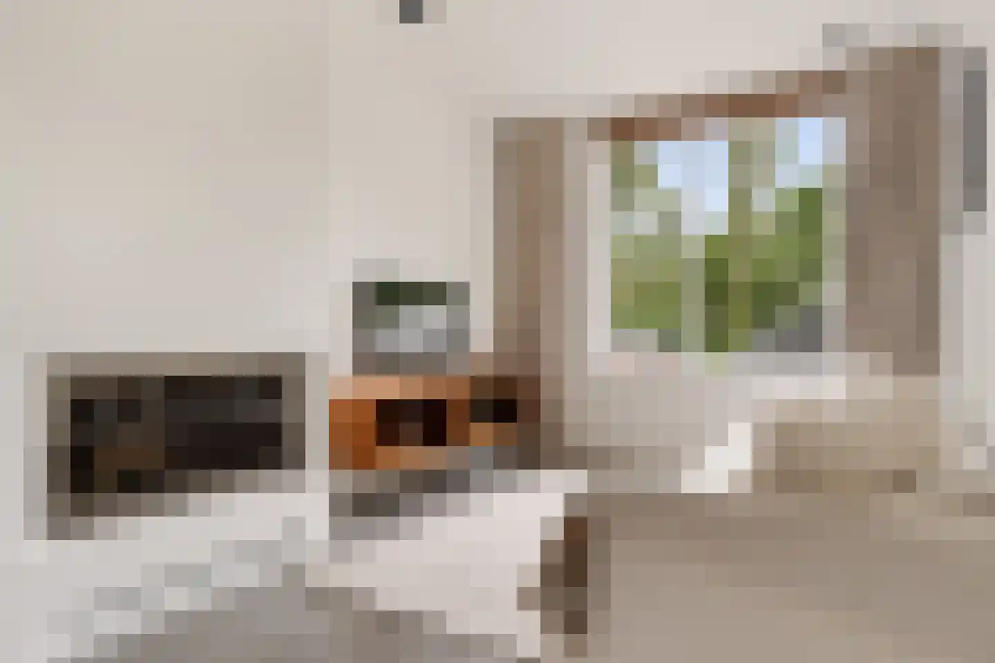 Voorhout 123 Rotterdam thumbnail 6