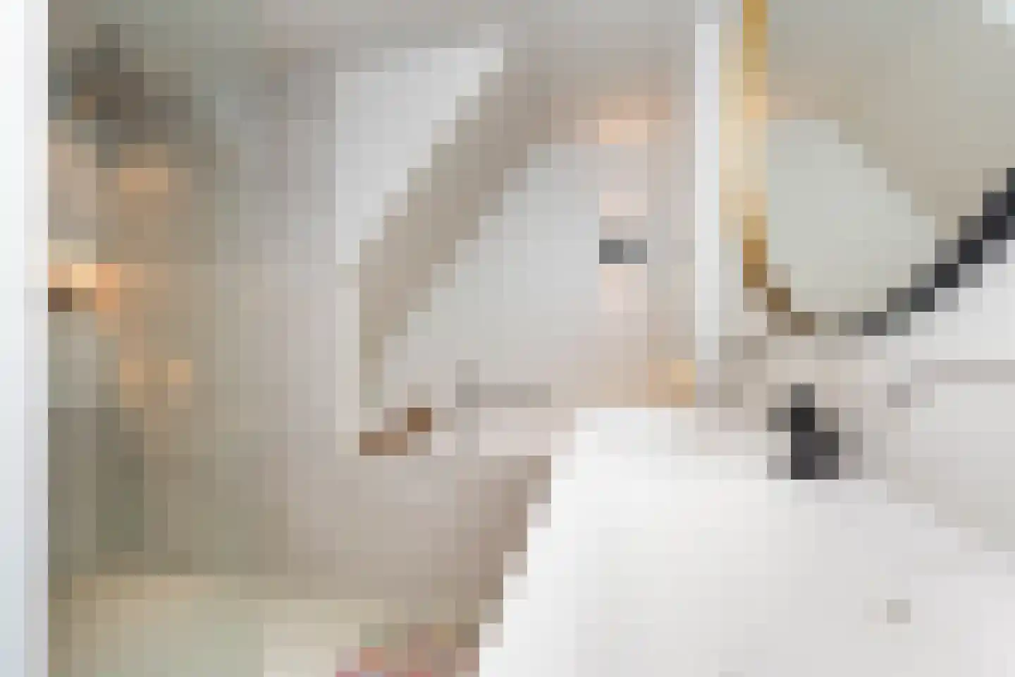 Voorhout 123 Rotterdam thumbnail 60