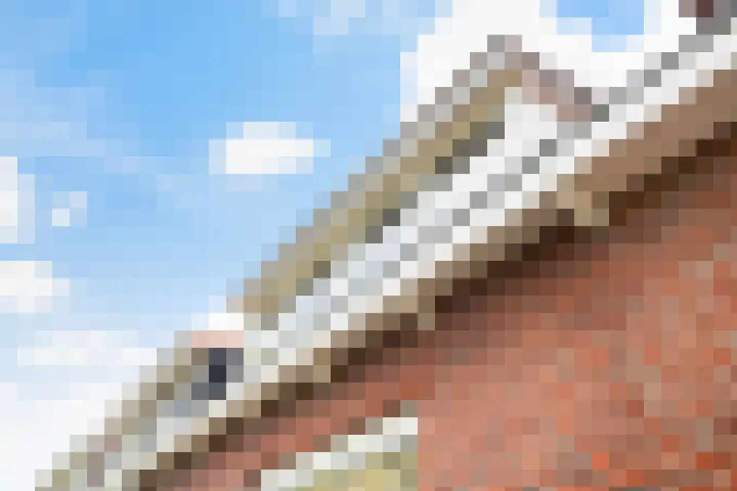 Voorhout 123 Rotterdam thumbnail 89