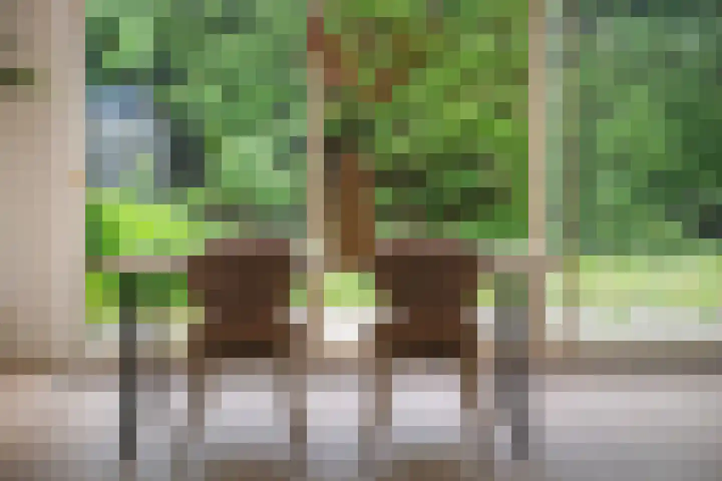 Voorhout 13 Rotterdam thumbnail 14