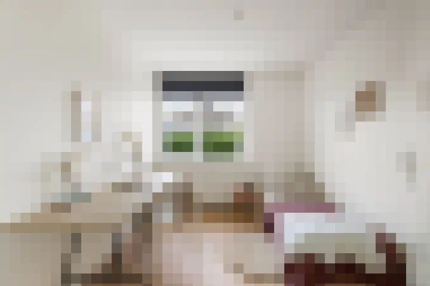 Voorhout 13 Rotterdam thumbnail 37