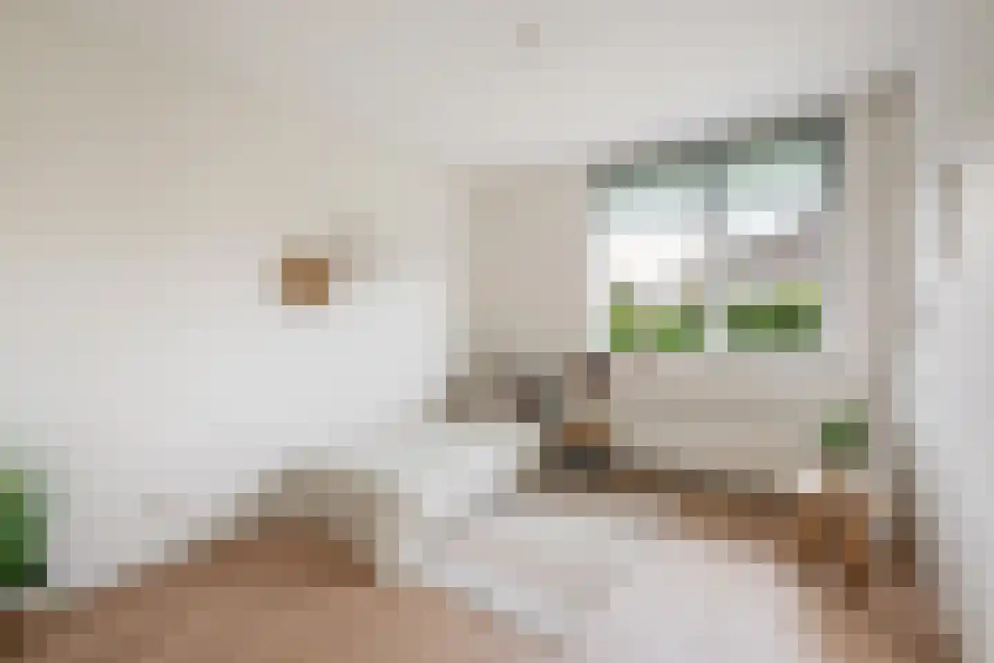 Voorhout 13 Rotterdam thumbnail 39