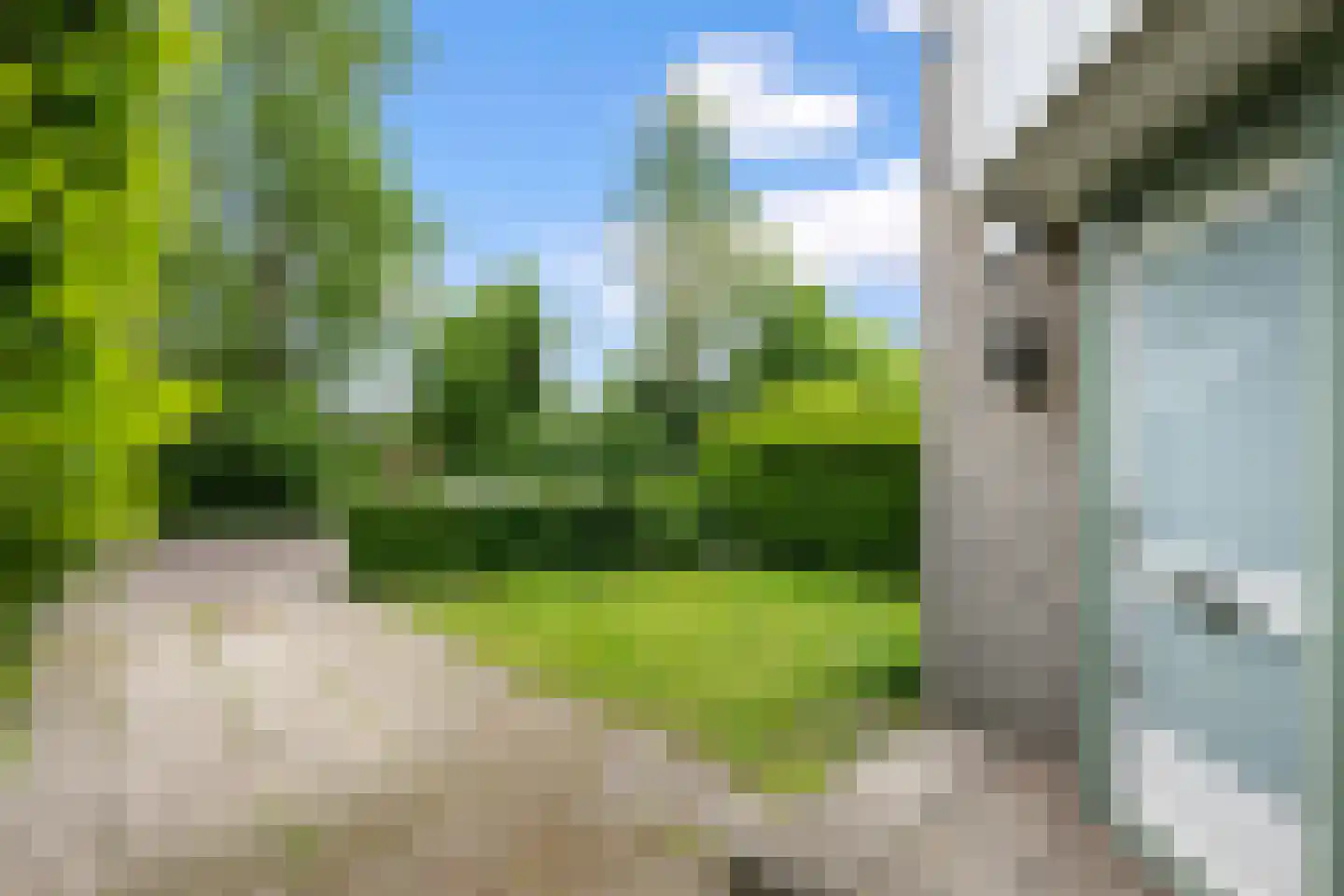 Voorhout 13 Rotterdam thumbnail 50