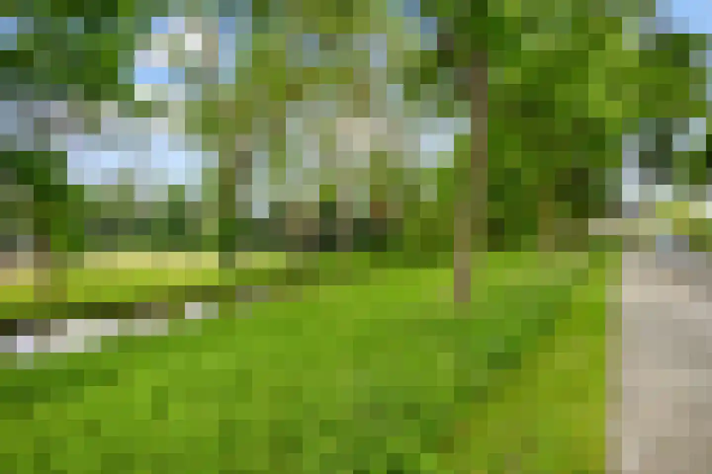 Voorhout 13 Rotterdam thumbnail 58