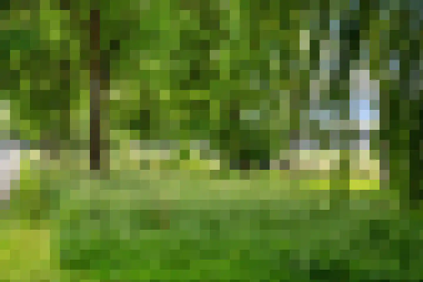 Voorhout 13 Rotterdam thumbnail 59