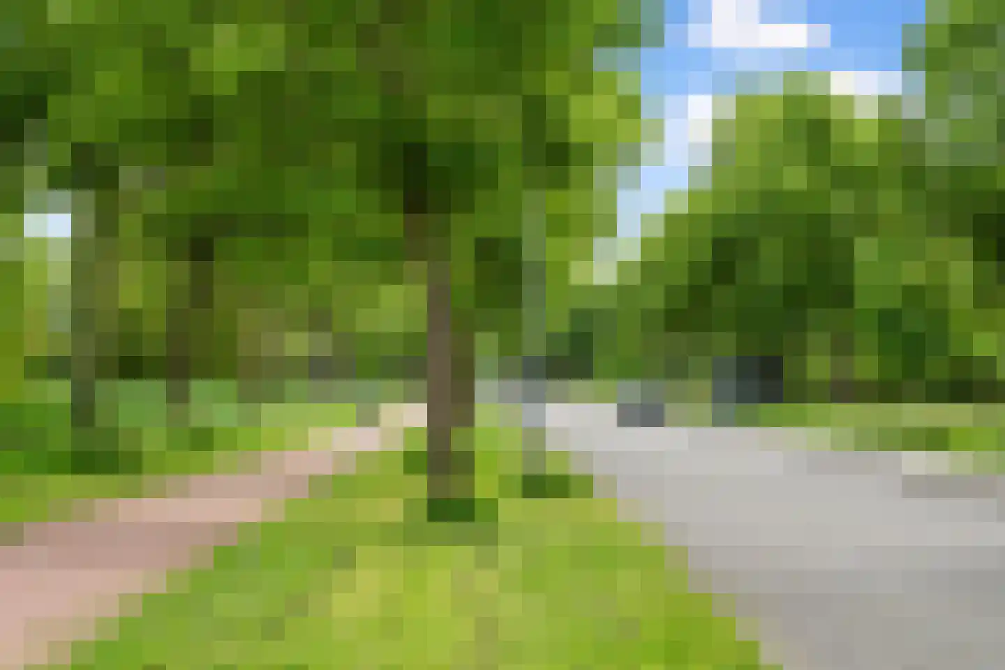Voorhout 13 Rotterdam thumbnail 61
