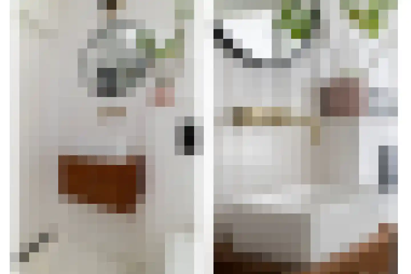 Voorhout 155 Rotterdam thumbnail 18