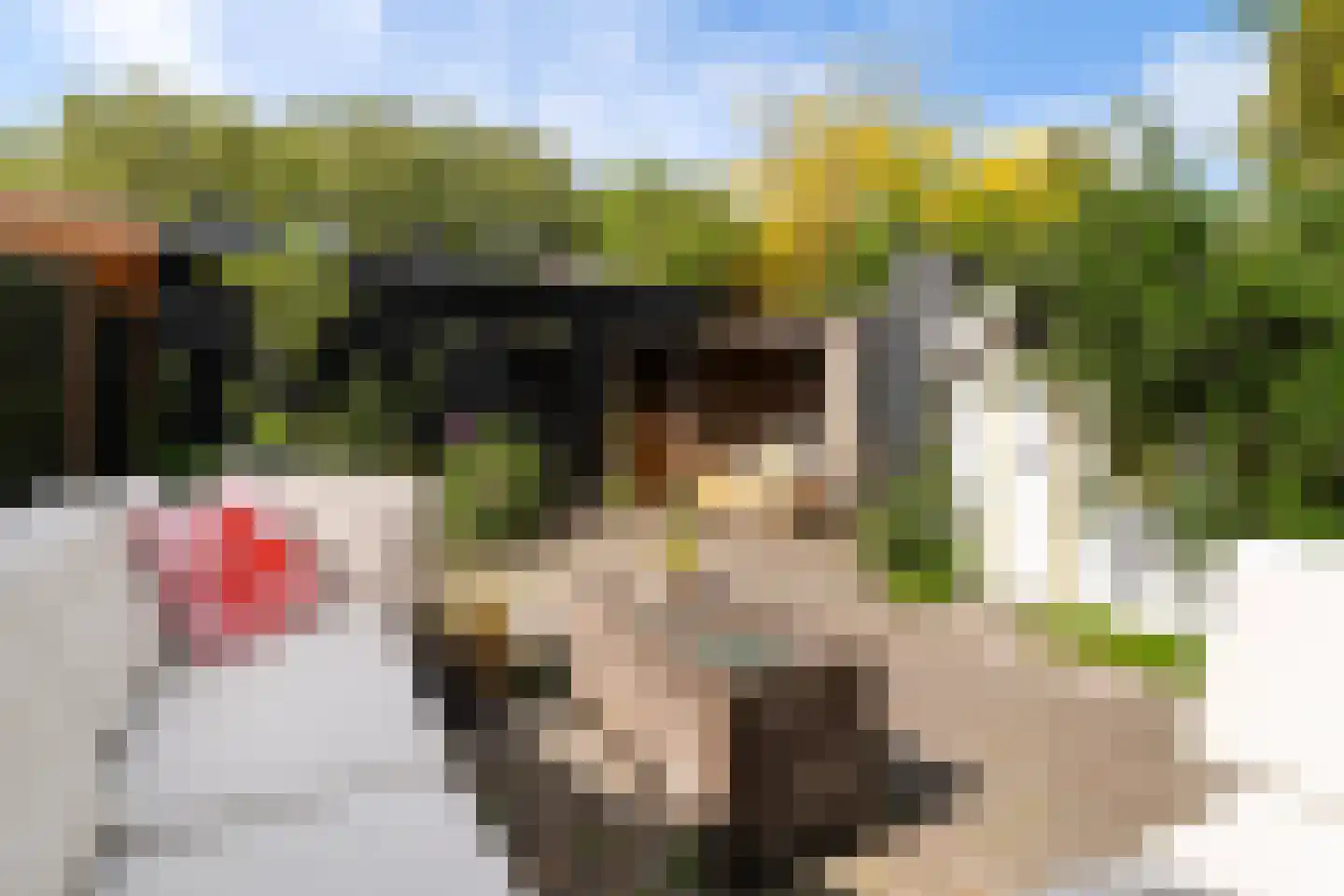 Voorhout 155 Rotterdam thumbnail 22