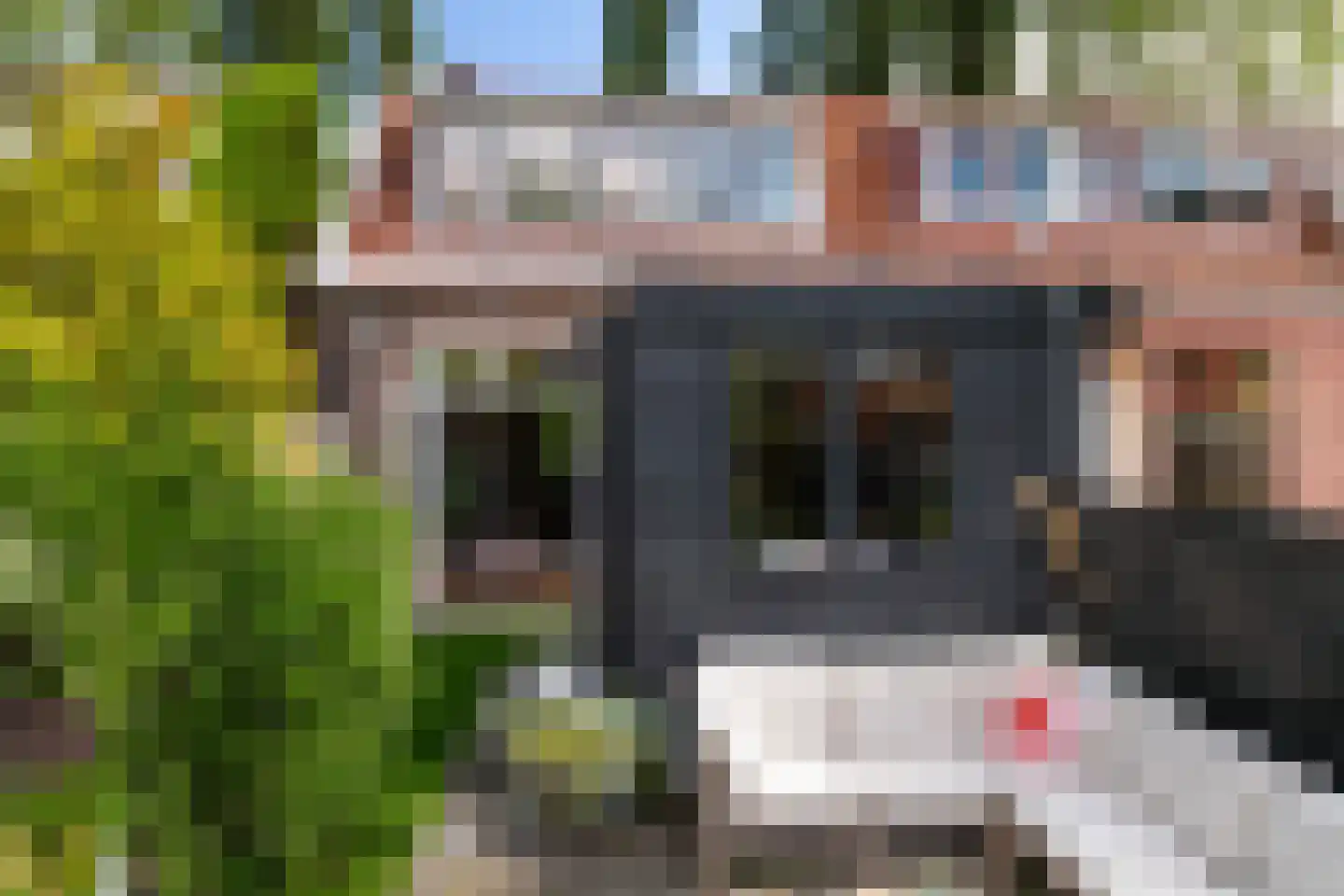 Voorhout 155 Rotterdam thumbnail 25