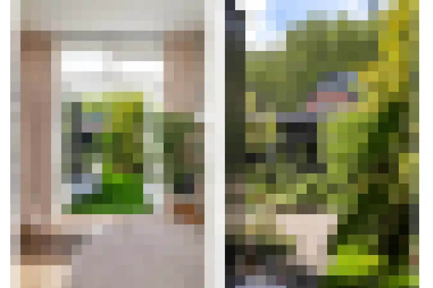 Voorhout 155 Rotterdam thumbnail 5