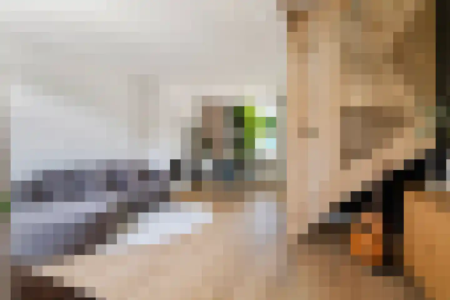 Voorhout 155 Rotterdam thumbnail 6