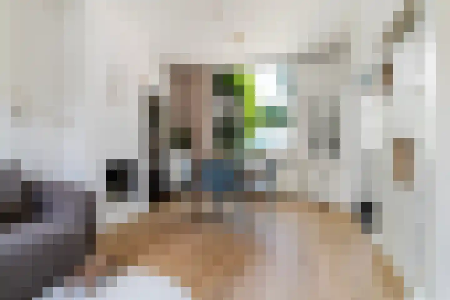Voorhout 155 Rotterdam thumbnail 8