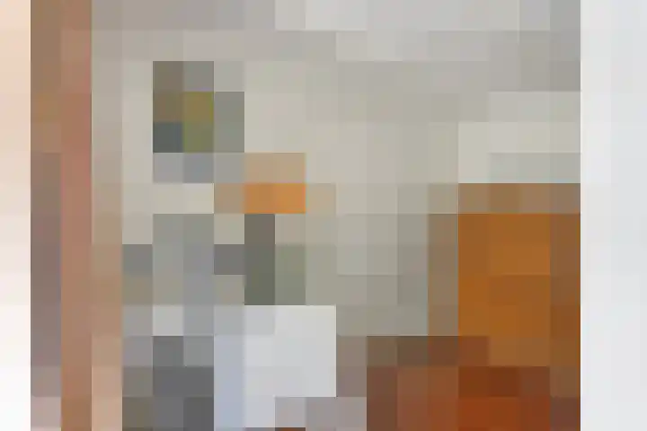 Voorhout 169 Rotterdam thumbnail 27