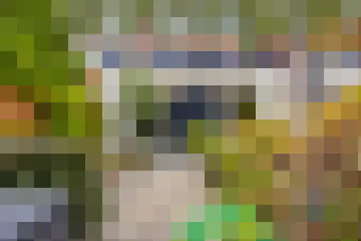 Voorhout 169 Rotterdam thumbnail 34