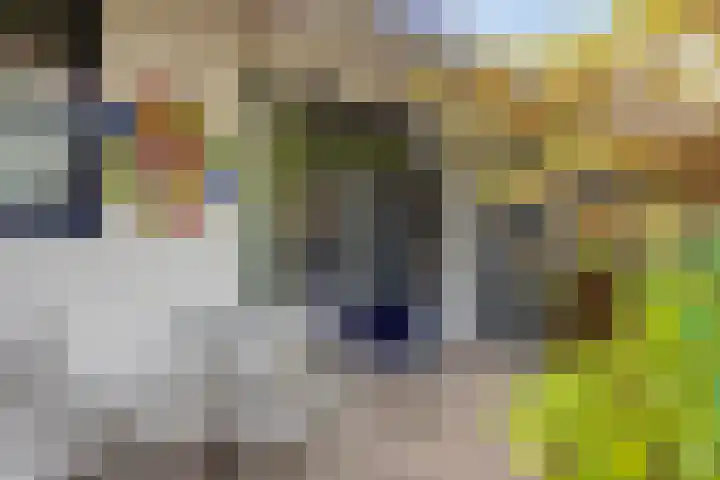 Voorhout 169 Rotterdam thumbnail 35