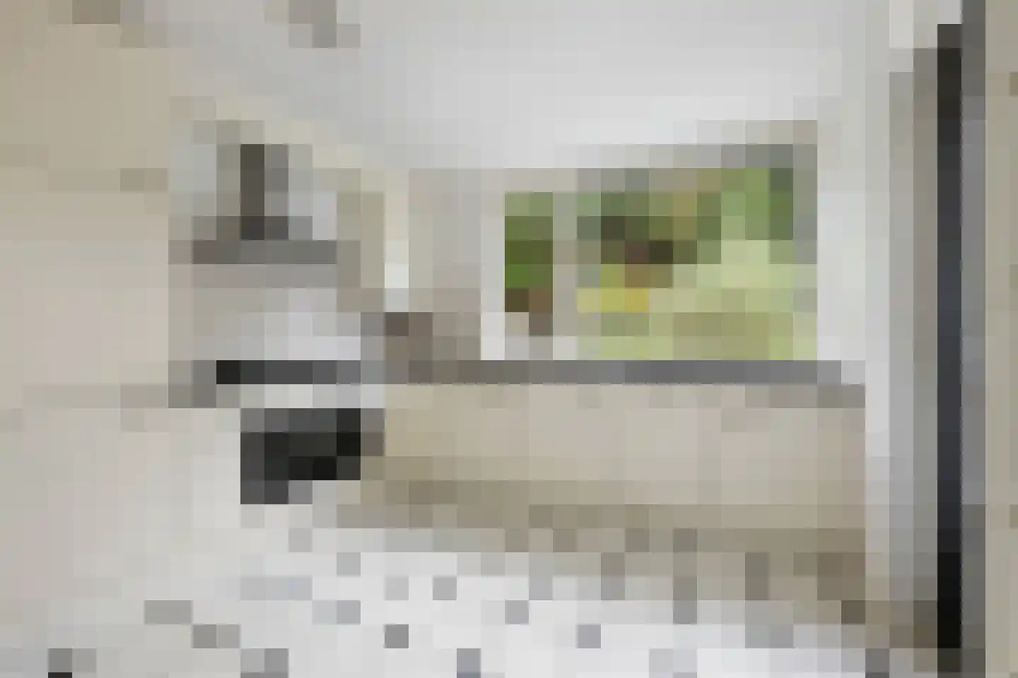 Voorhout 27 Rotterdam thumbnail 13