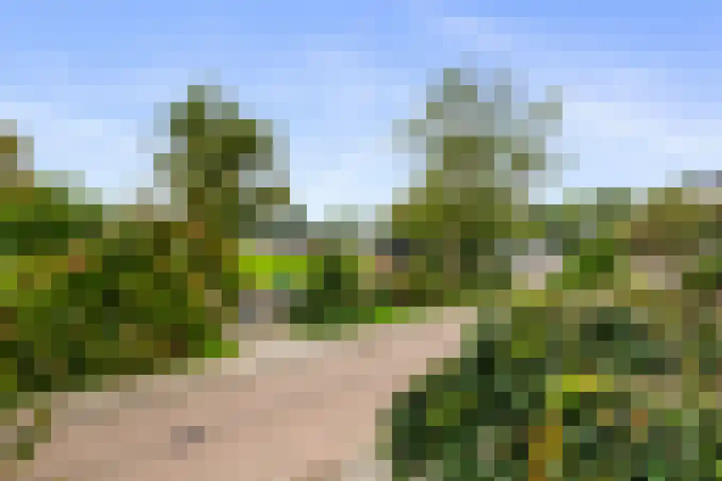 Voorhout 27 Rotterdam thumbnail 20