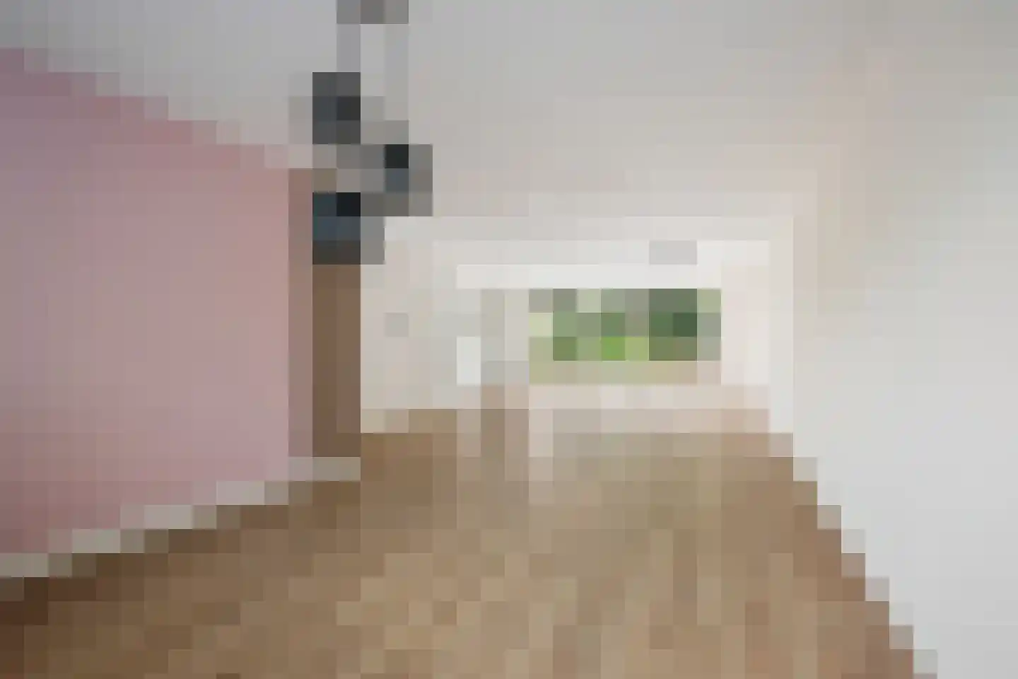 Voorhout 27 Rotterdam thumbnail 4