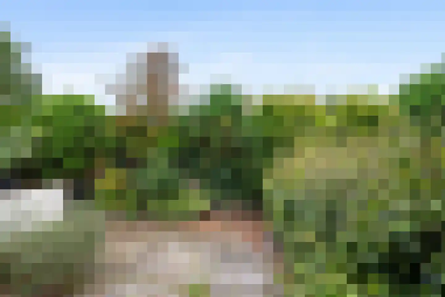 Voorhout 27 Rotterdam thumbnail 7