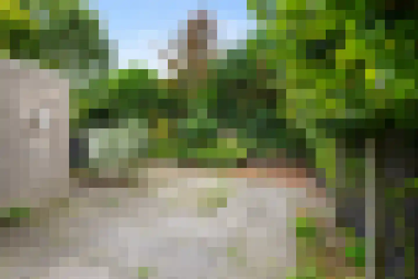 Voorhout 27 Rotterdam thumbnail 8