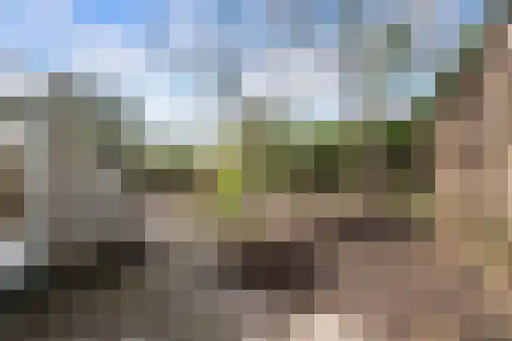 Voorhout 3 Rotterdam thumbnail 16