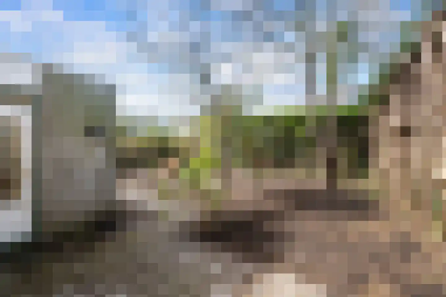 Voorhout 3 Rotterdam thumbnail 16