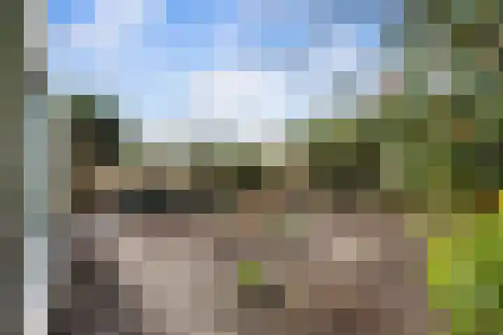 Voorhout 3 Rotterdam thumbnail 17