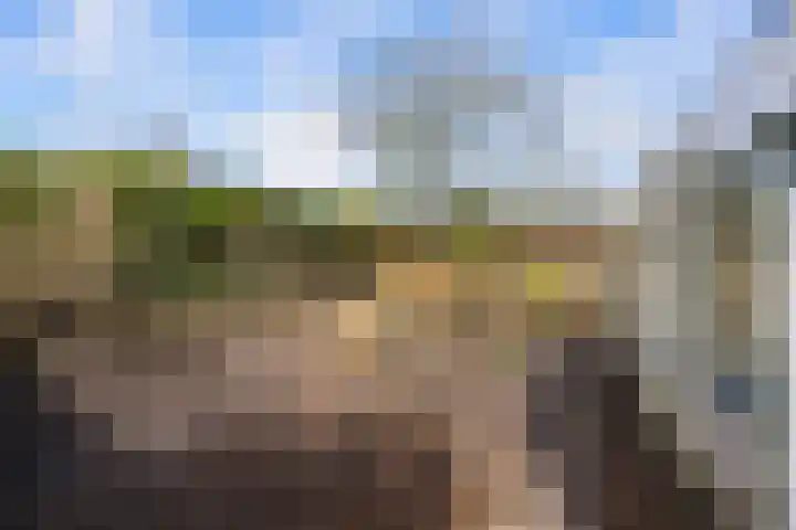 Voorhout 3 Rotterdam thumbnail 18