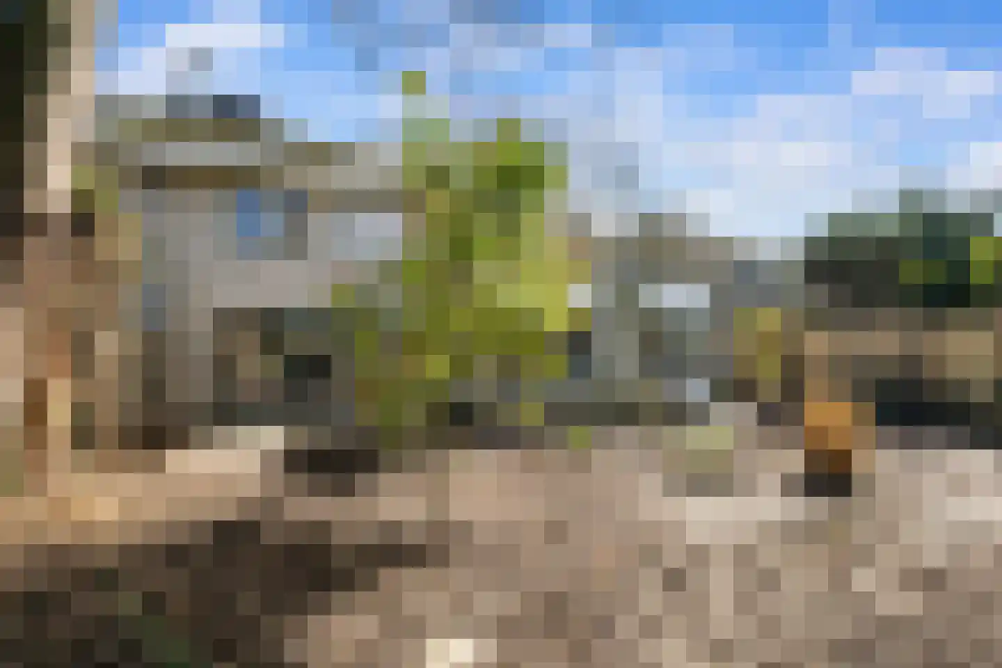 Voorhout 3 Rotterdam thumbnail 19