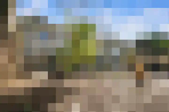 Voorhout 3 Rotterdam thumbnail 19