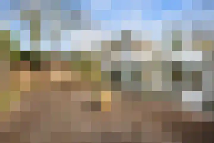 Voorhout 3 Rotterdam thumbnail 20