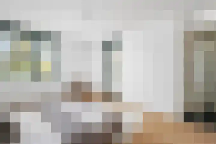 Voorhout 3 Rotterdam thumbnail 26